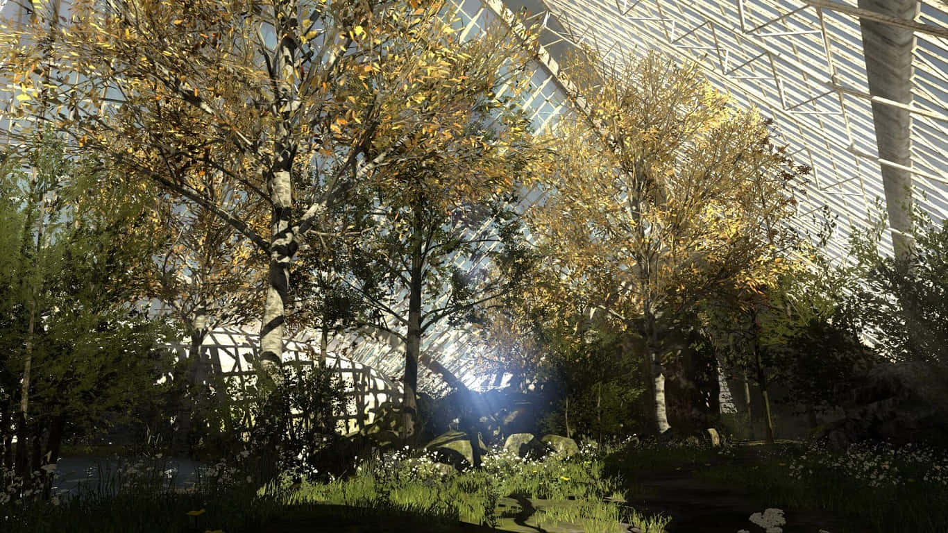 1366x768 The Talos Principle Gehenna বন ব্যাকগ্রাউন্ড ওয়ালপেপার