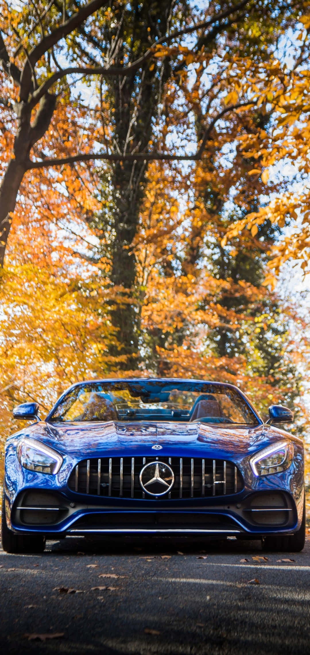 Android Amg Gt-r হলুদ গাছের পাতা ব্যাকগ্রাউন্ড ওয়ালপেপার