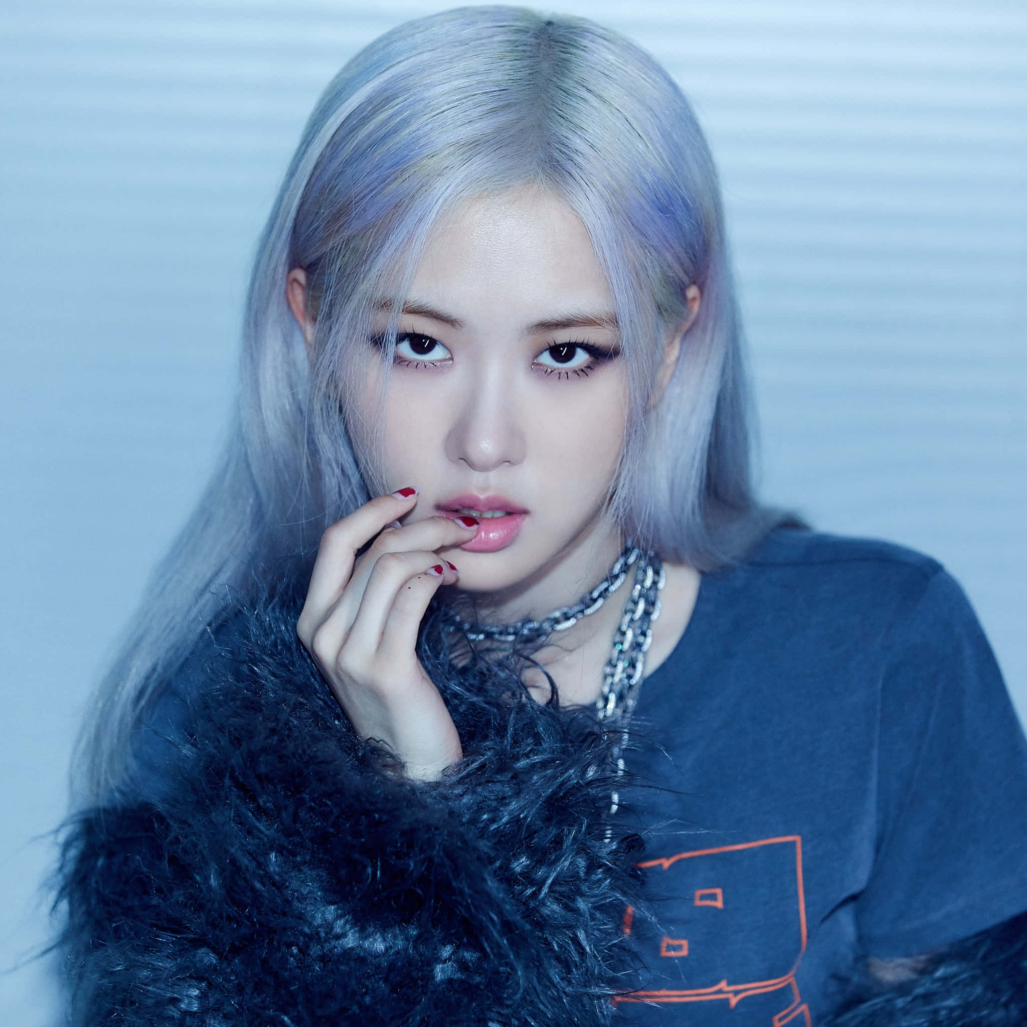 BLACKPINK Rose এর সাথে প্রোফাইল পিকচার আইডিয়া ওয়ালপেপার