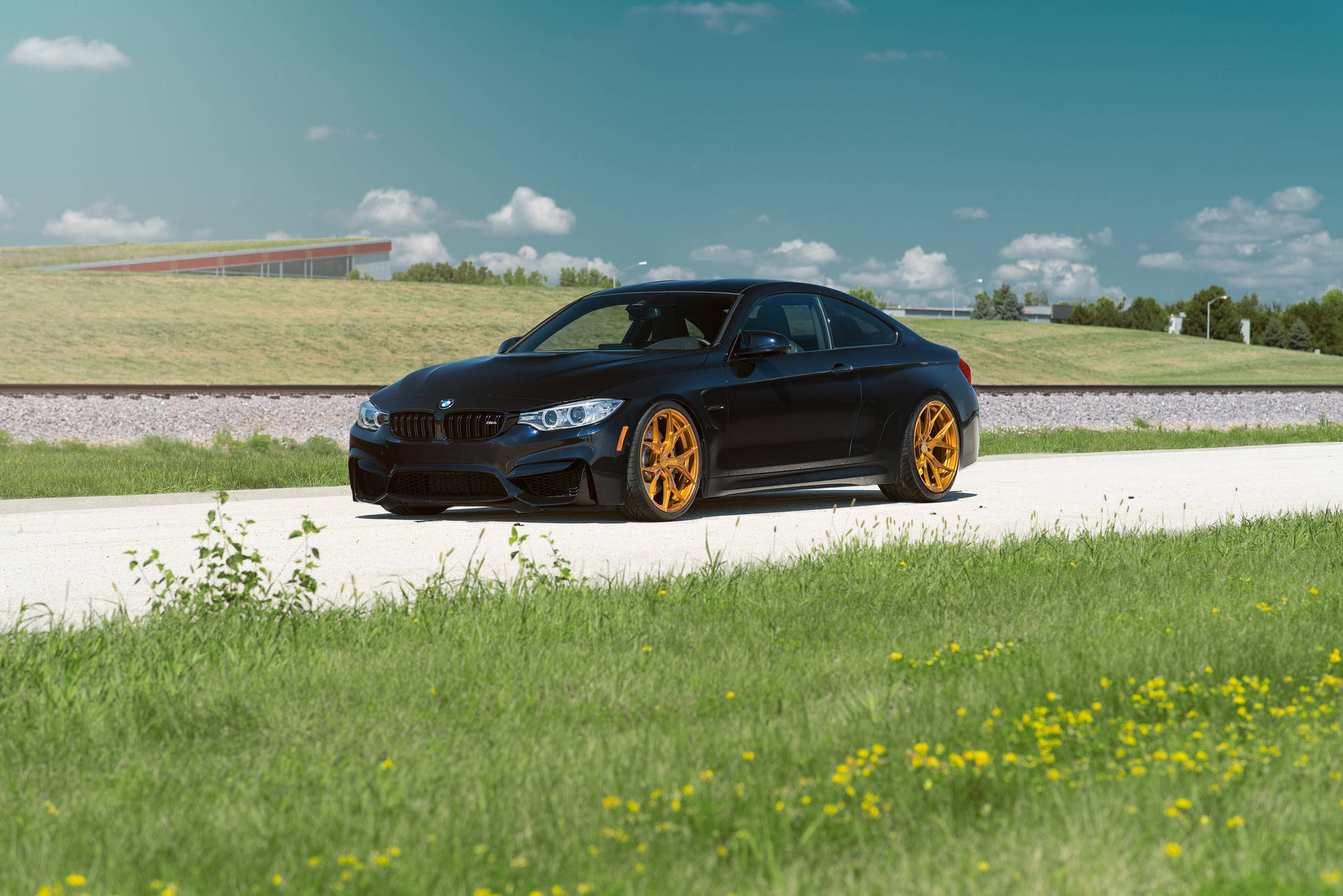 স্লিক BMW M4 F82 ওয়ালপেপার