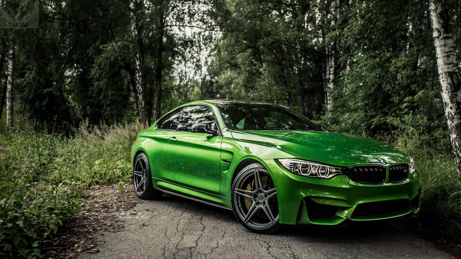 সবুজ BMW M4 বনের মধ্যে দিয়ে গর্জন করছে ওয়ালপেপার