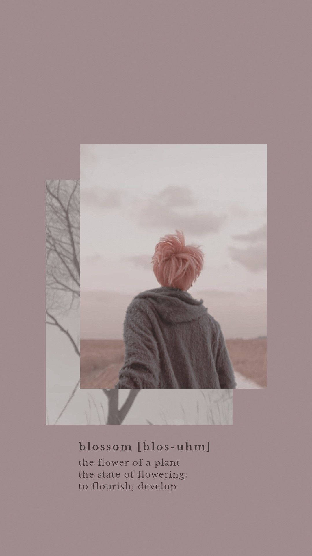 BTS জিমিন ব্লসমের নান্দনিক ছবি ওয়ালপেপার