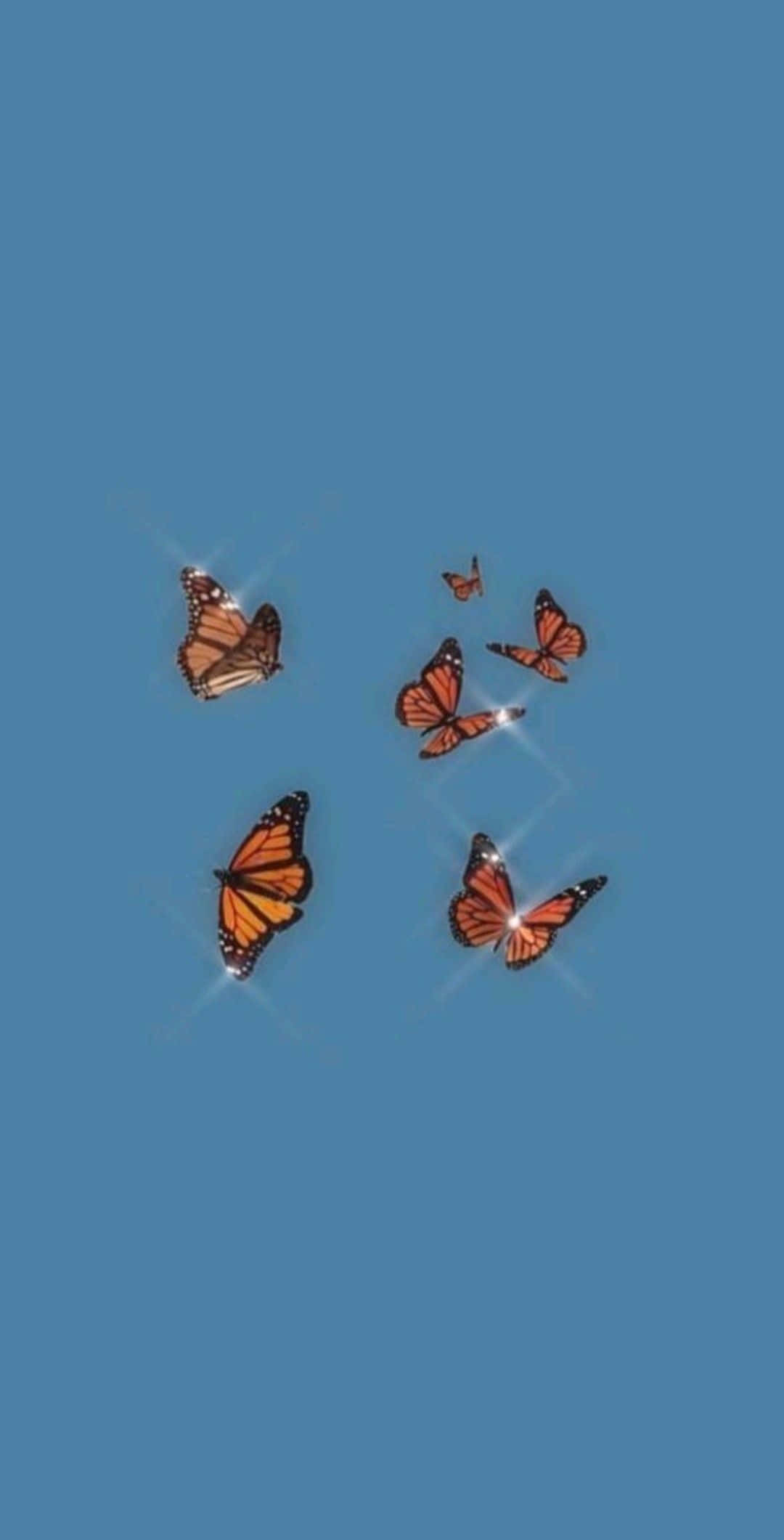 আপনার প্রতিদিনকে সাজান একটি নান্দনিক iPhone দিয়ে ওয়ালপেপার