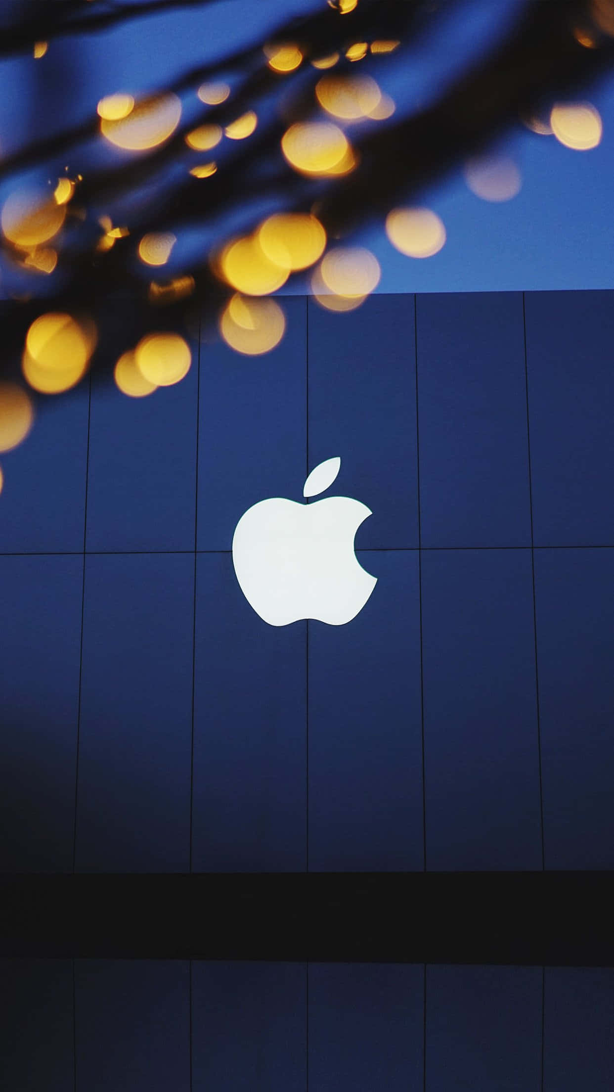 নতুন iPhone 13 – মোবাইল প্রযুক্তির নতুন সংজ্ঞা ওয়ালপেপার