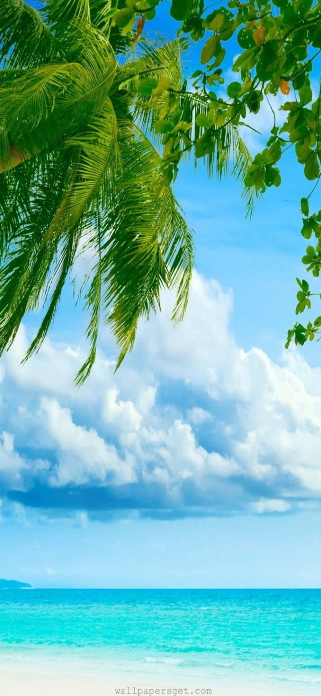 আপনার iPhone Xs দিয়ে একটি সৈকতের সৌন্দর্য উপভোগ করুন ওয়ালপেপার