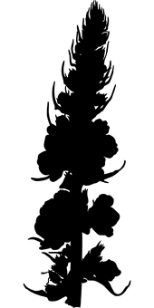ফুলের নকশা কালো ব্যাকগ্রাউন্ড.JPG ওয়ালপেপার
