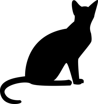 কালো স্ক্রিন প্লেসহোল্ডার.JPG ওয়ালপেপার