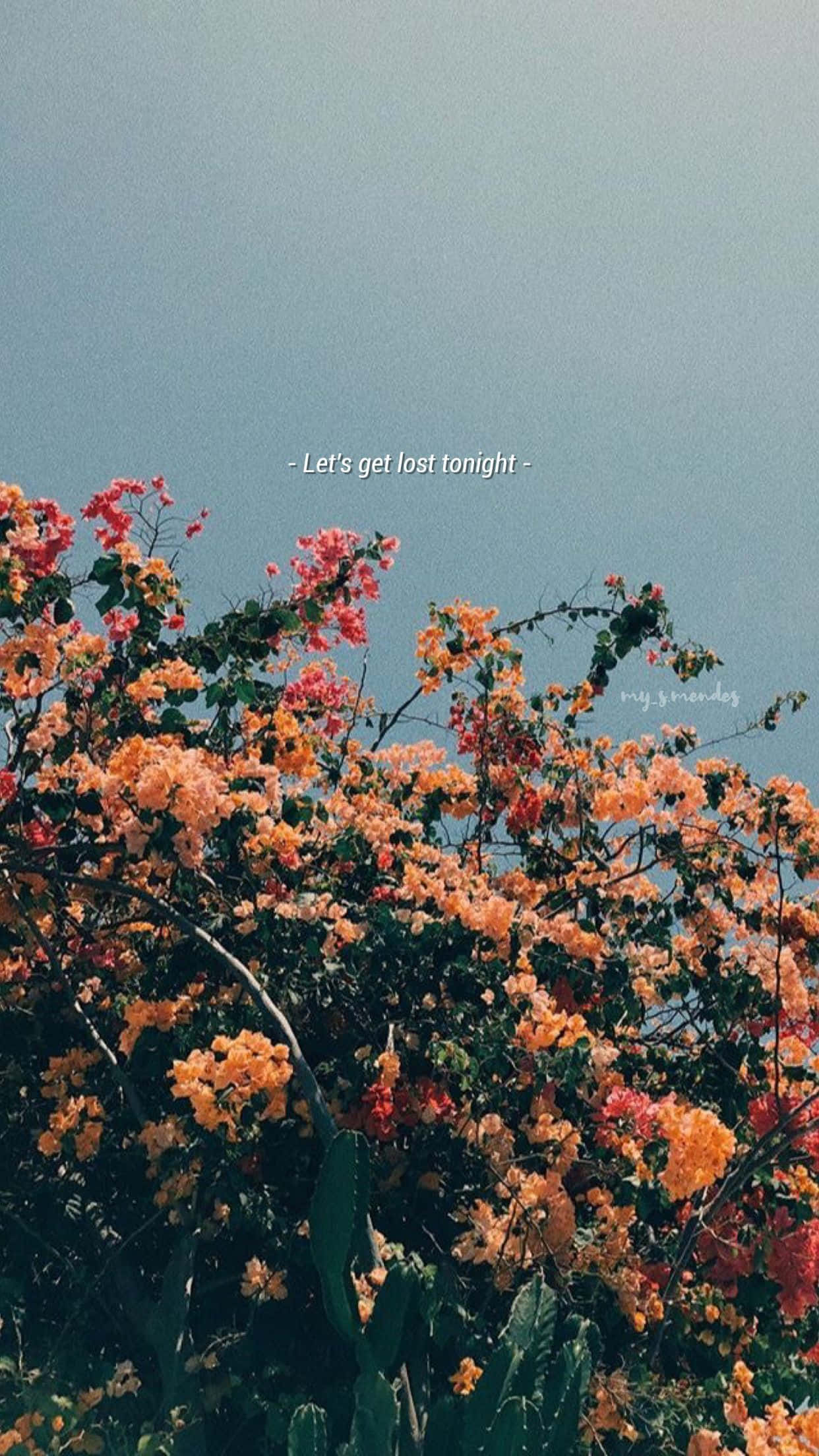 একটি ফুলের ছবি যাতে লেখা আছে 'love you first thought' ওয়ালপেপার