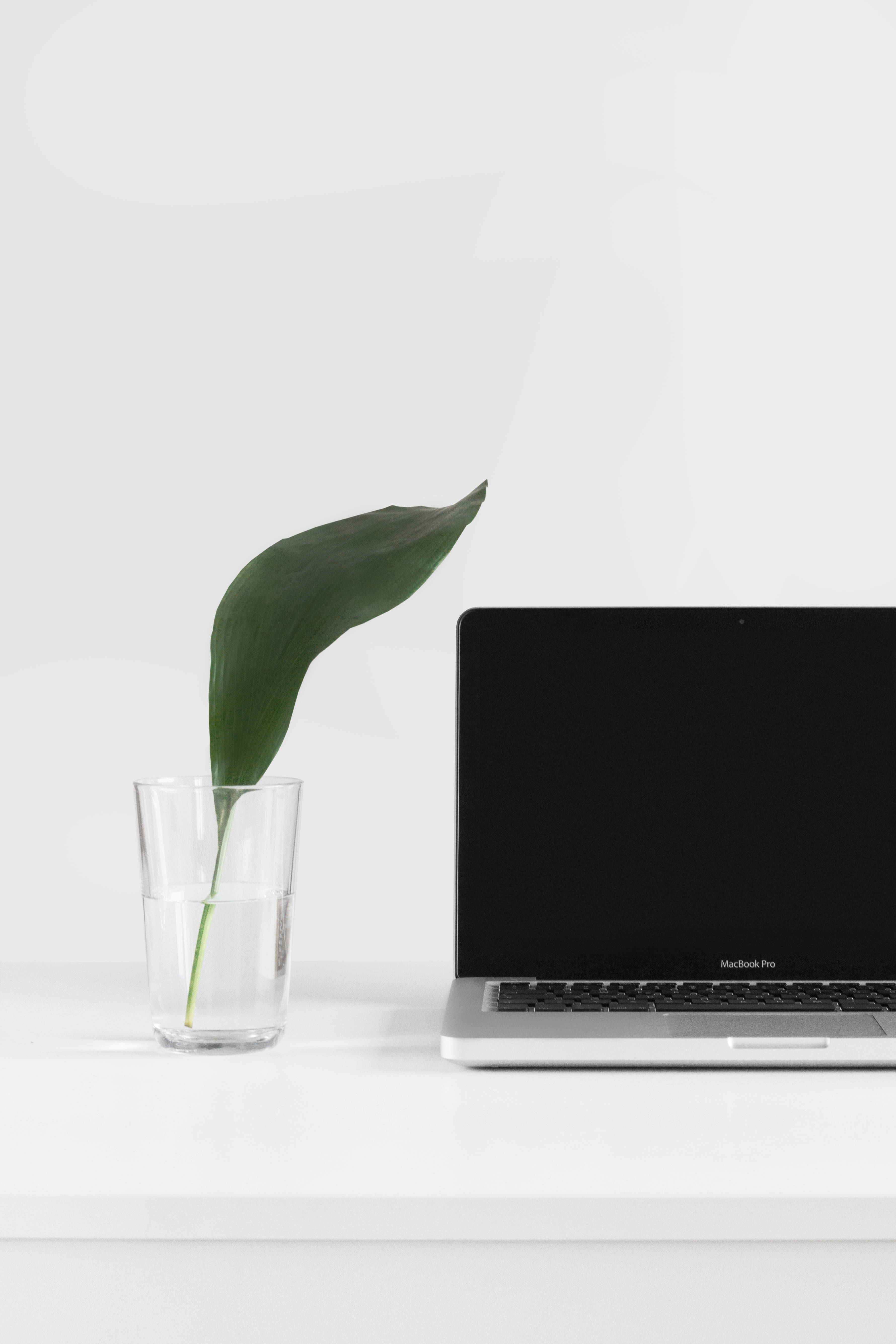 মসৃণ মিনিমালিস্ট MacBook Pro সেটআপ ওয়ালপেপার