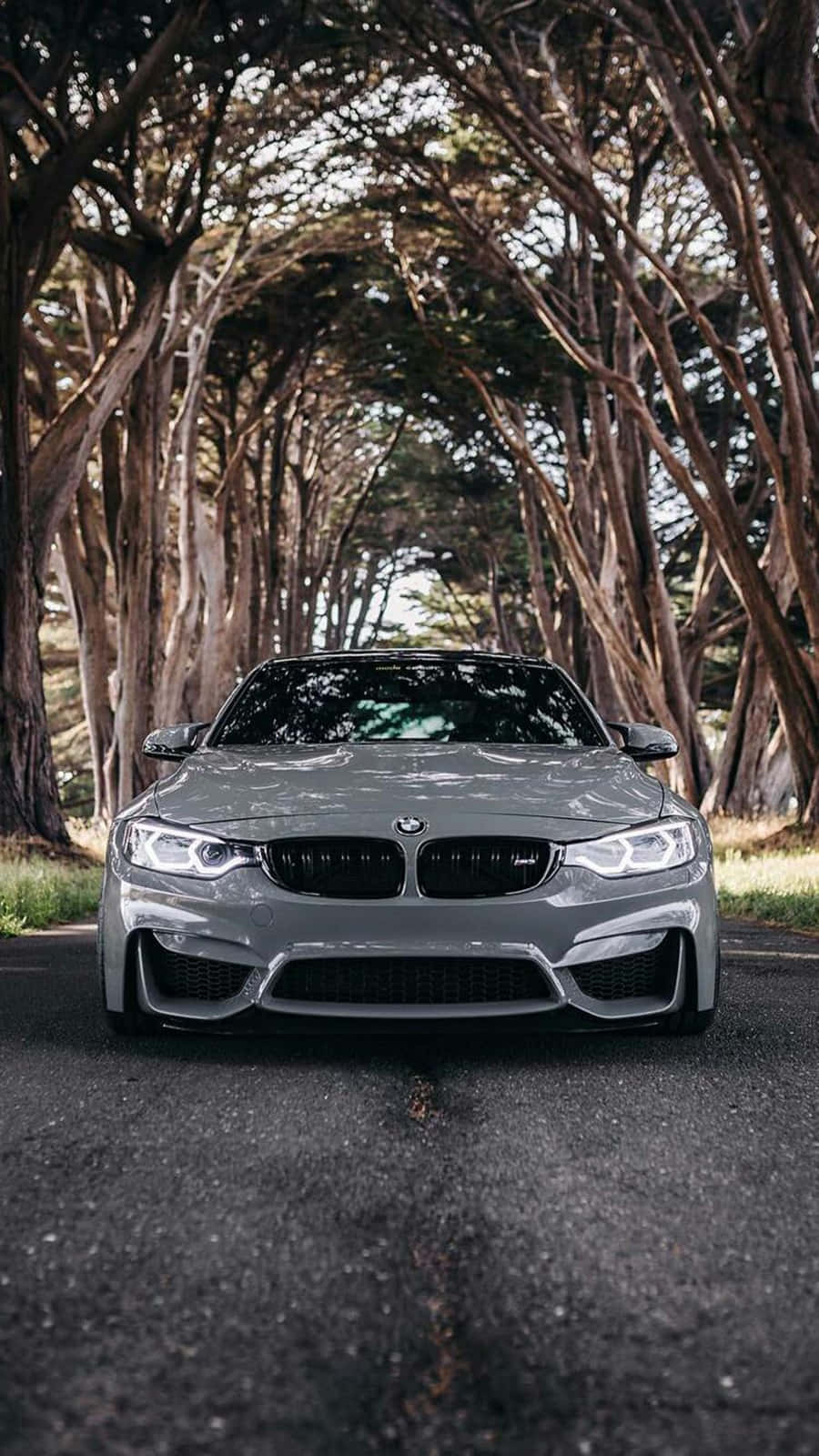 Pixel 3 BMW M4 সিলভারস্টোন মেটালিক II ব্যাকগ্রাউন্ড ওয়ালপেপার