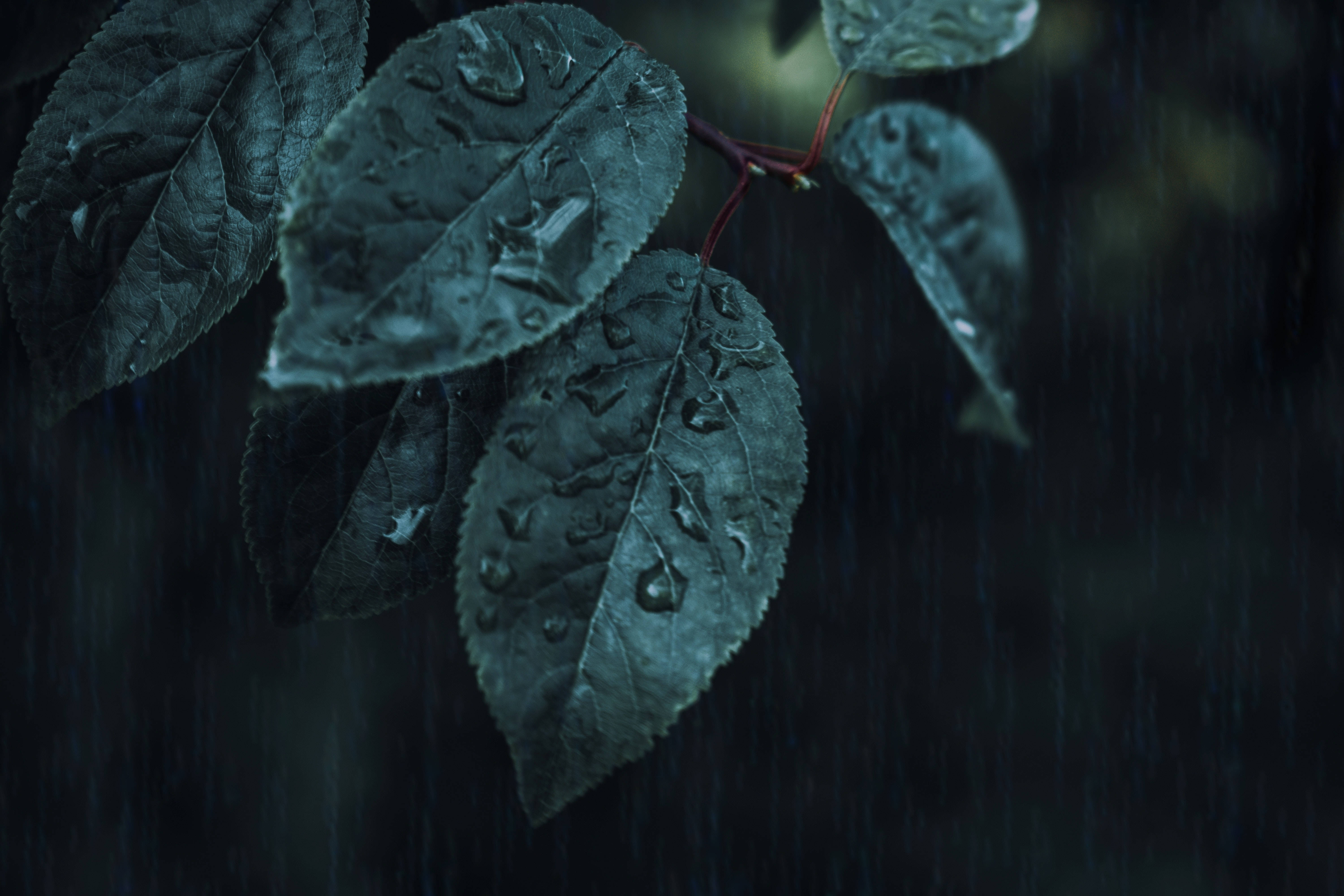 স্যামসাং S20 আল্ট্রা ফোঁটা ওয়ালপেপার