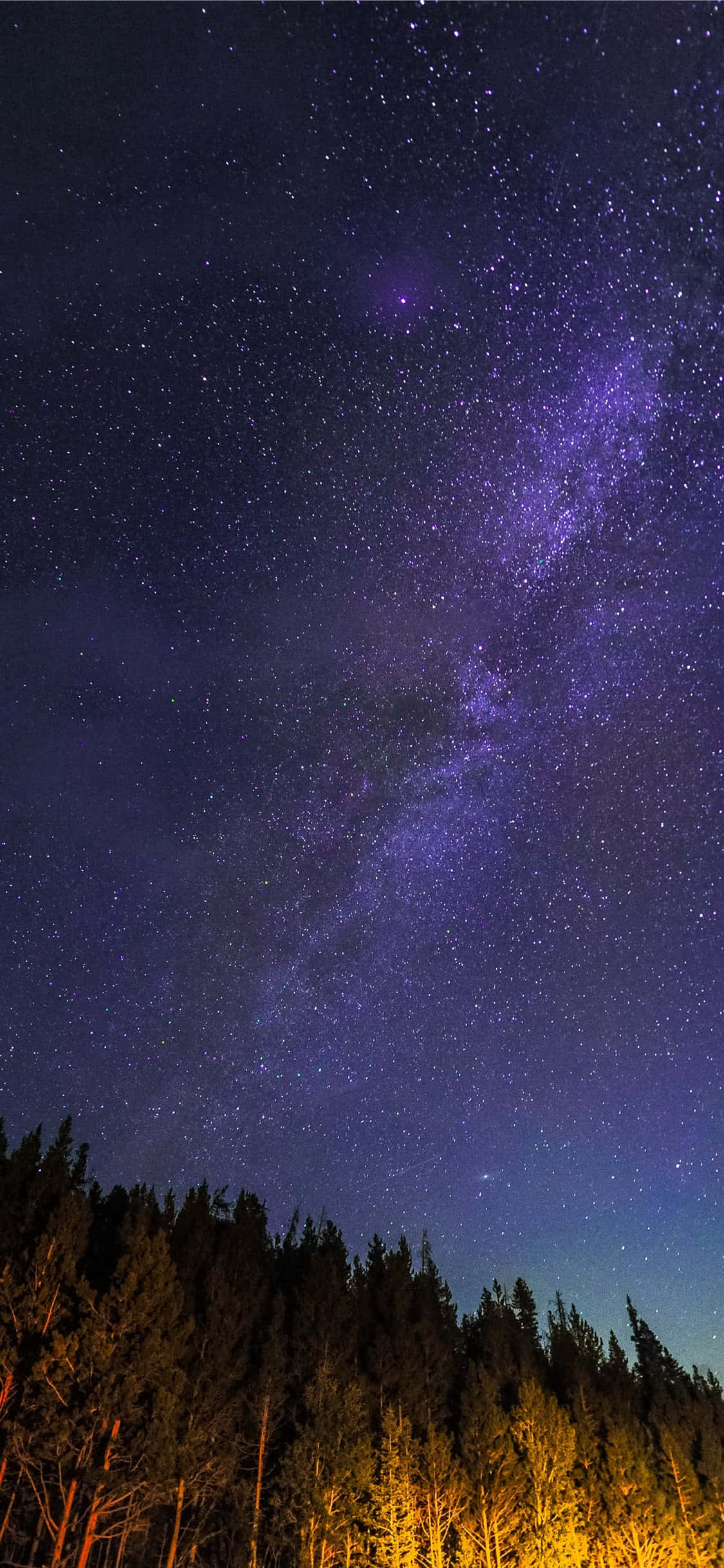 Starry_ Night_ Over_ Forest.JPG ওয়ালপেপার