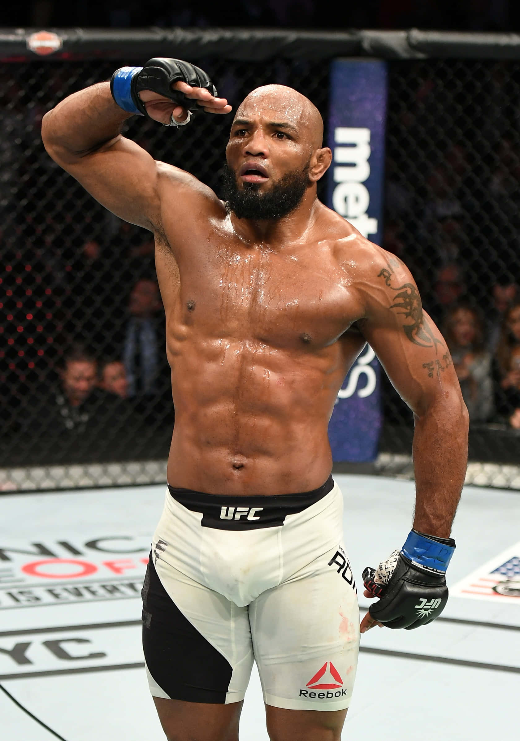 UFC 205-এ ইয়োয়েল রোমেরোর সালাম姿态 ওয়ালপেপার