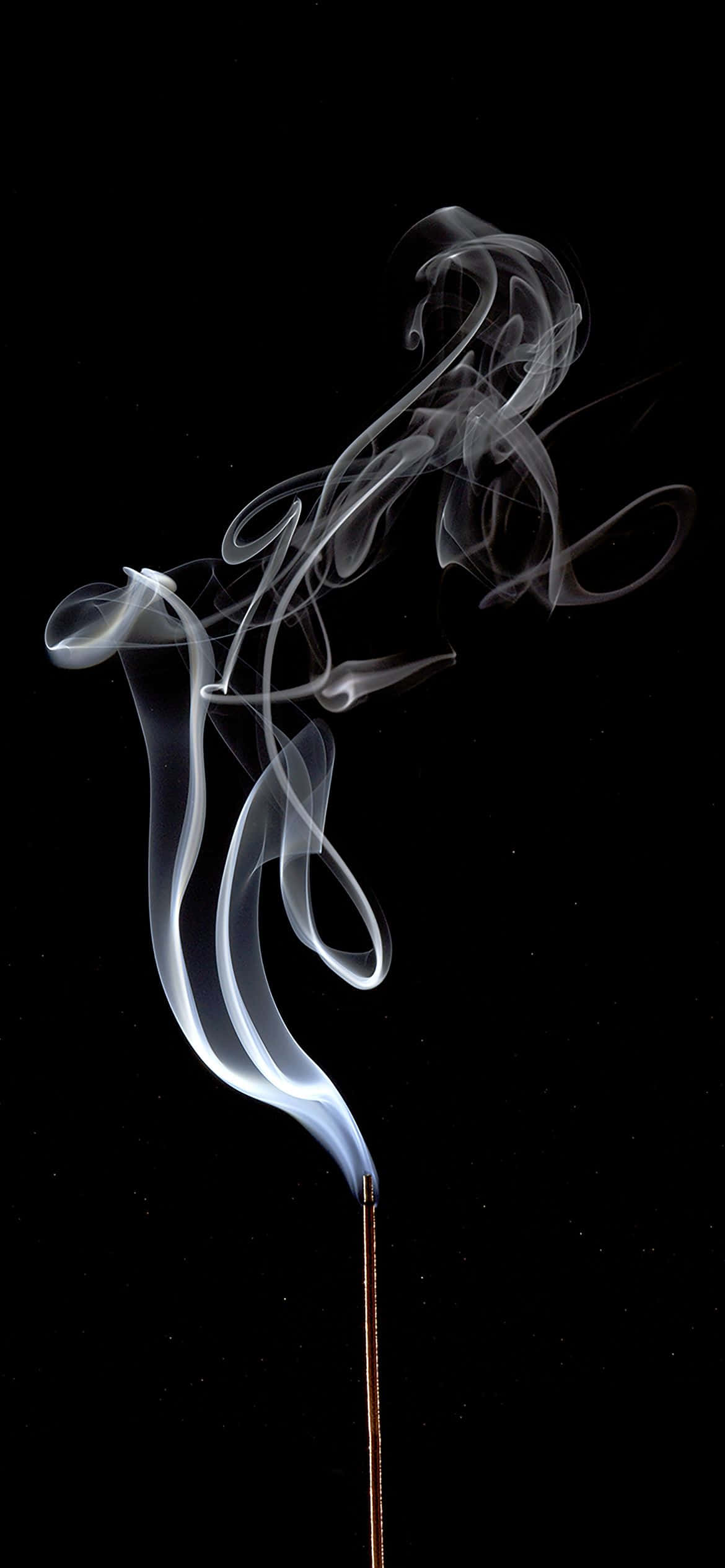 1170x2532 সাদা ধোঁয়ার ক্রিয়েটিভ শট ওয়ালপেপার