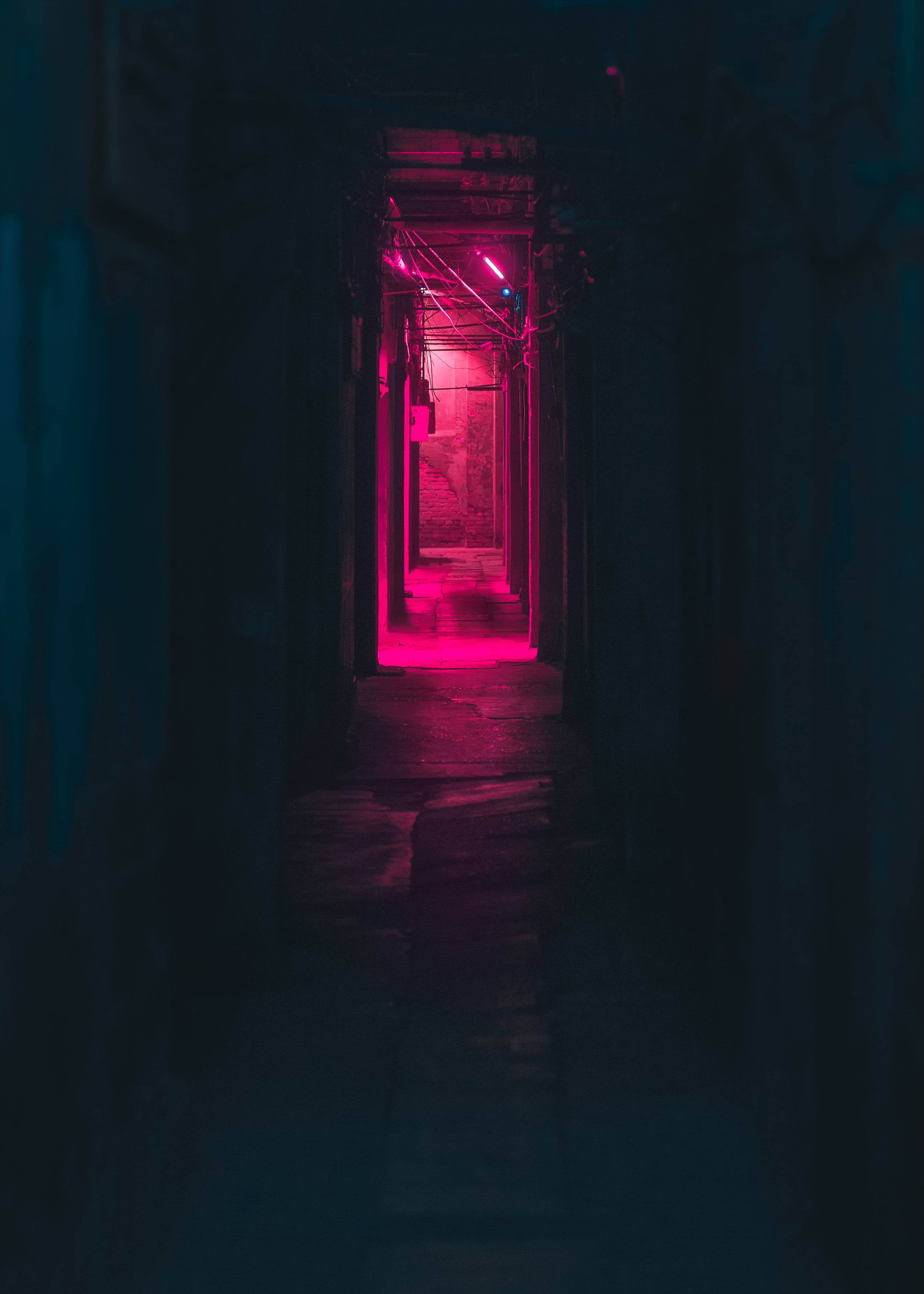 অন্ধকার নিয়ন গোলাপি গলি ওয়ালপেপার
