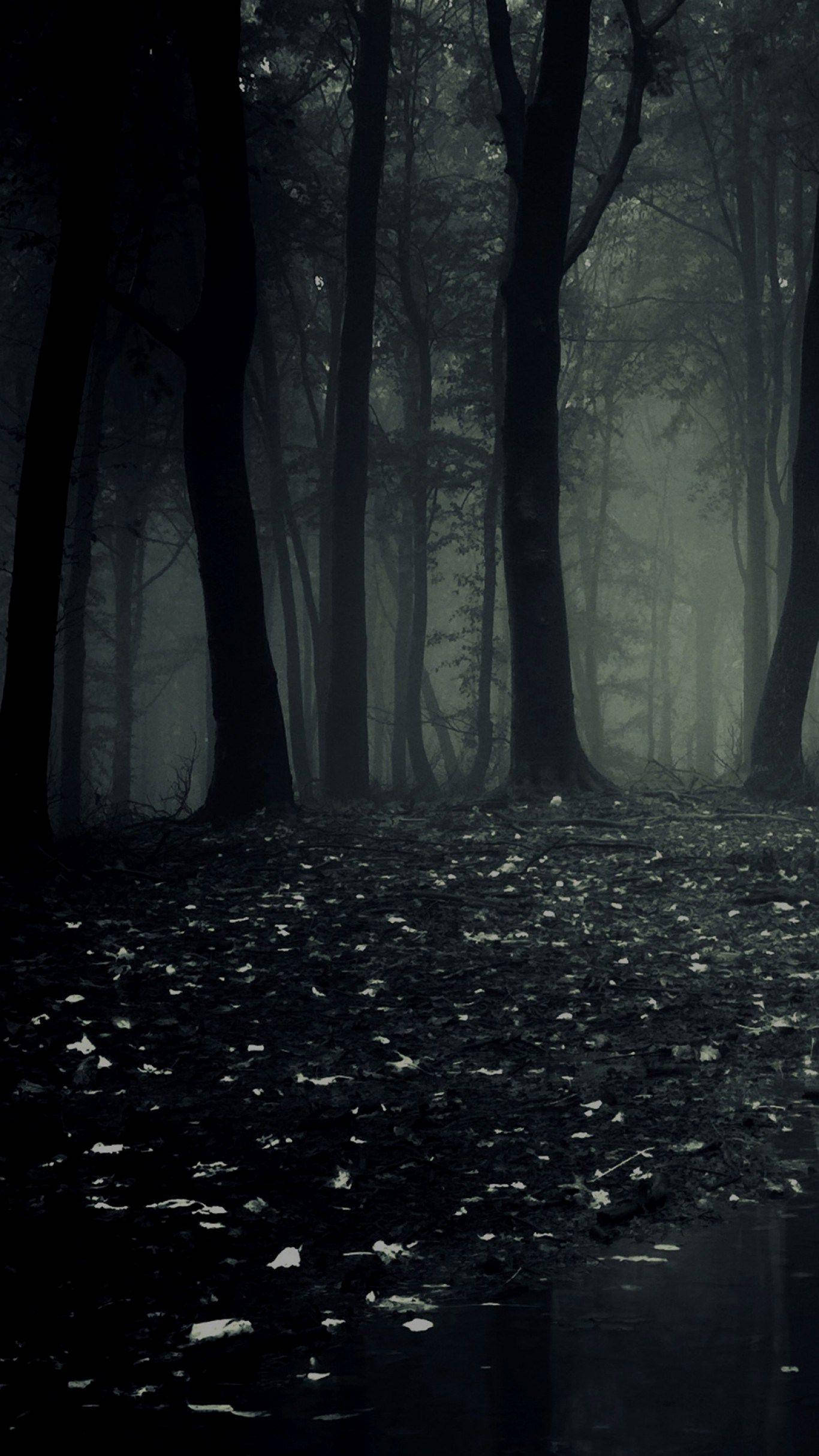 অন্ধকার ফোন ভীতিকর বন ওয়ালপেপার