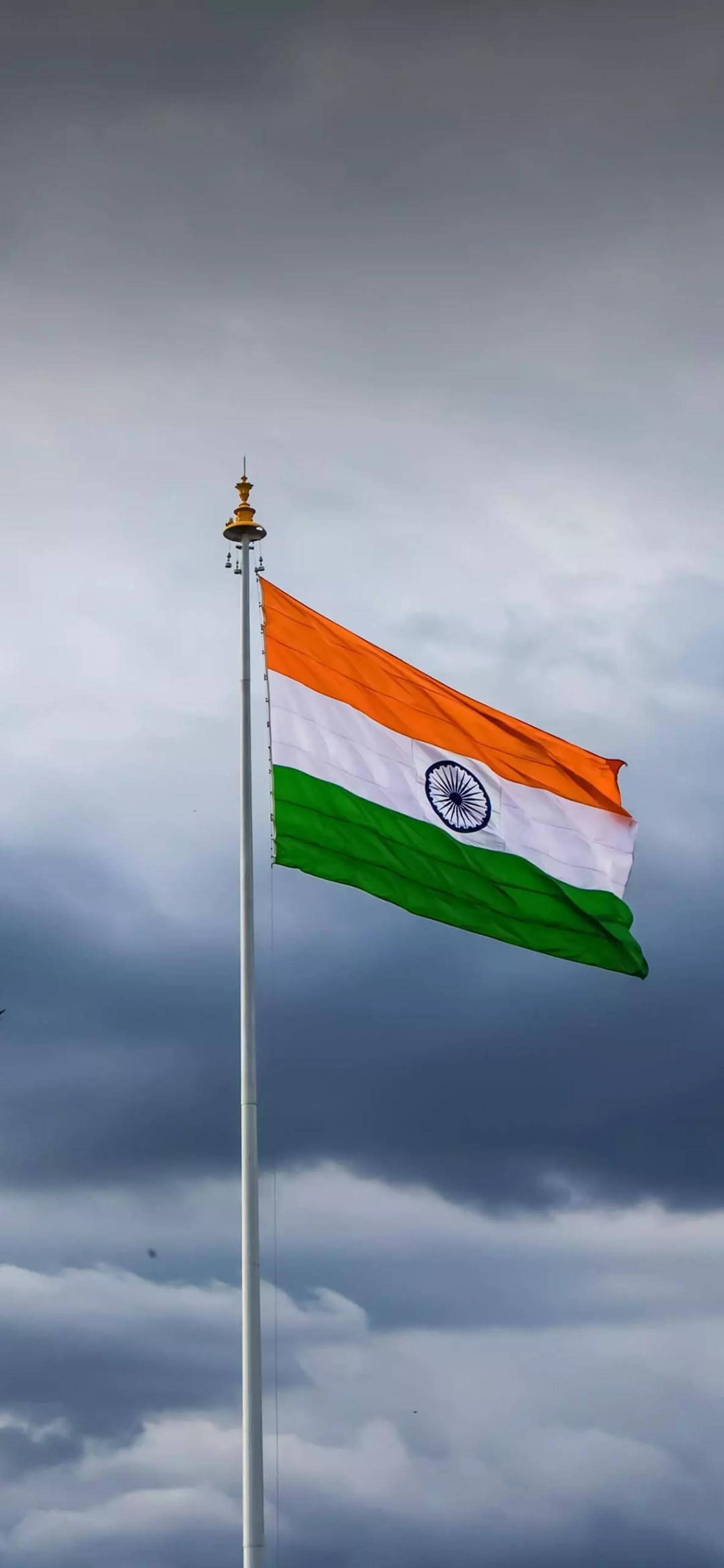 অসাধারণ ভারতীয় পতাকা মোবাইল ওয়ালপেপার