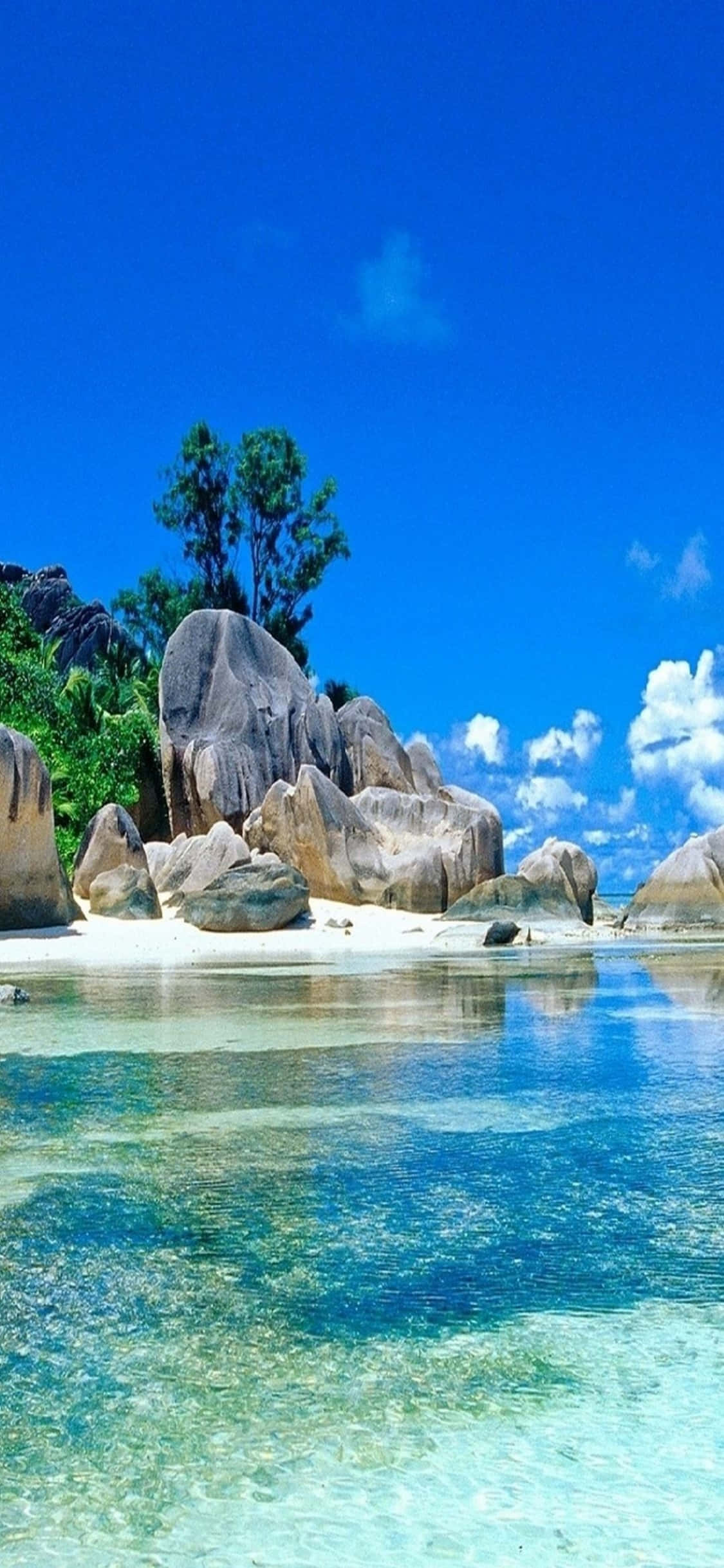 আইফোন XS লা ডিগু সৈকত ব্যাকগ্রাউন্ড ওয়ালপেপার