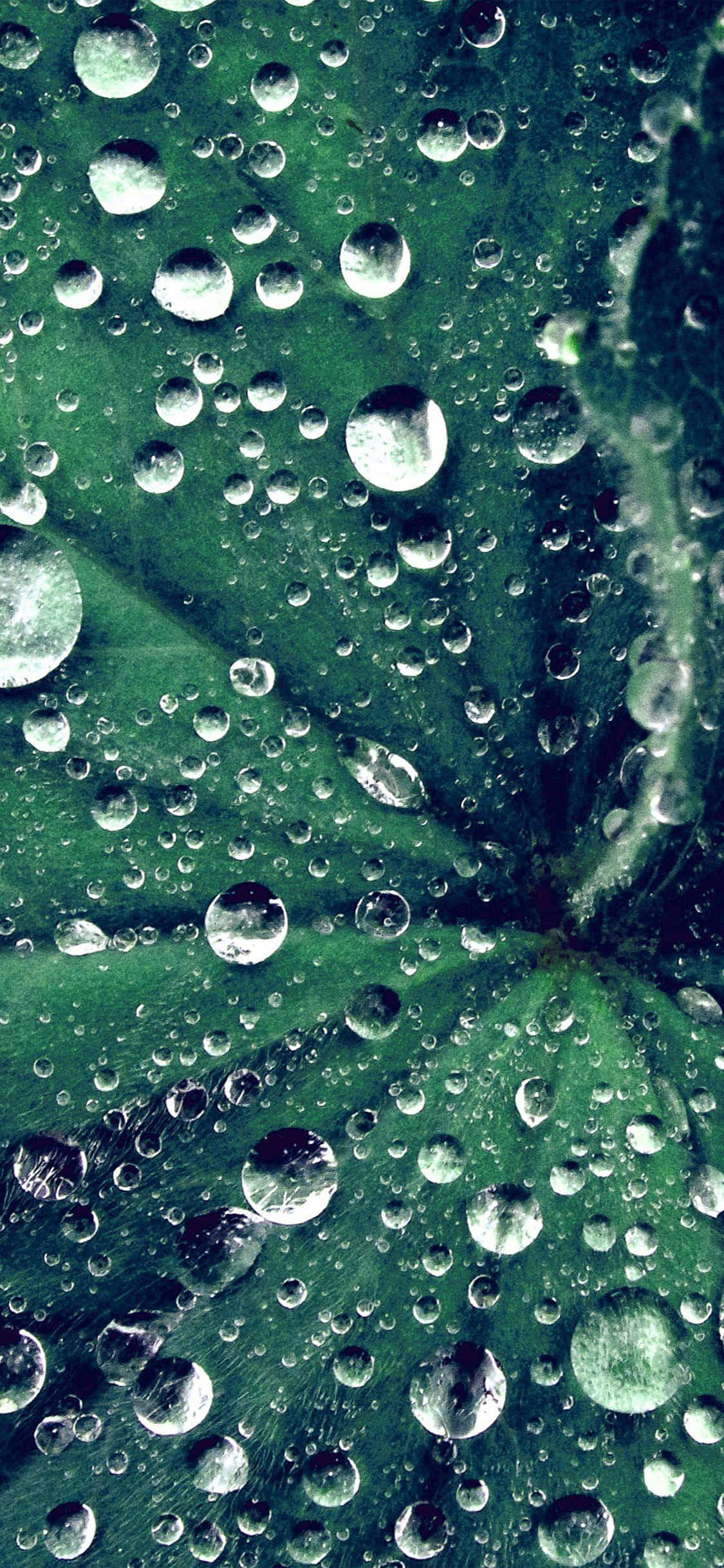 একটি চকচকে পানির ফোঁটা ওয়ালপেপার