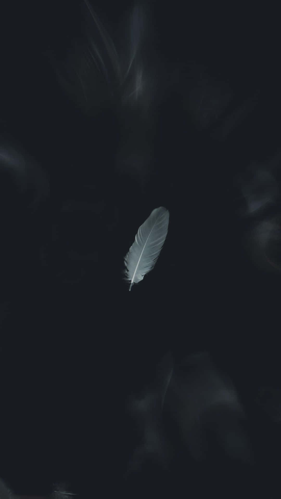 একটি নান্দনিক সাদা-কালো দৃশ্য ওয়ালপেপার