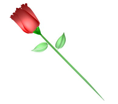 একটি লাল গোলাপ কালো ব্যাকগ্রাউন্ড ওয়ালপেপার