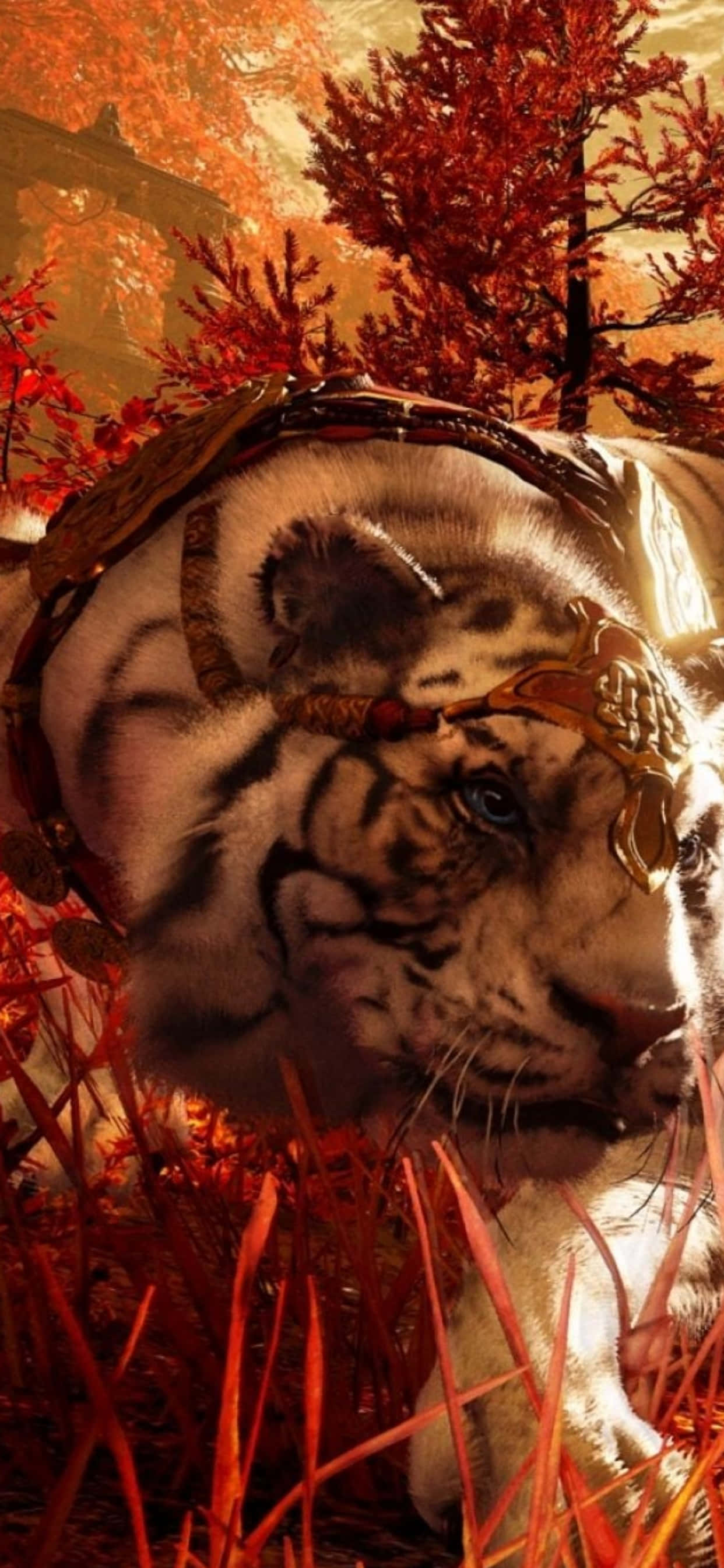 একটি সাদা বাঘ ঘাসে শুয়ে আছে ওয়ালপেপার