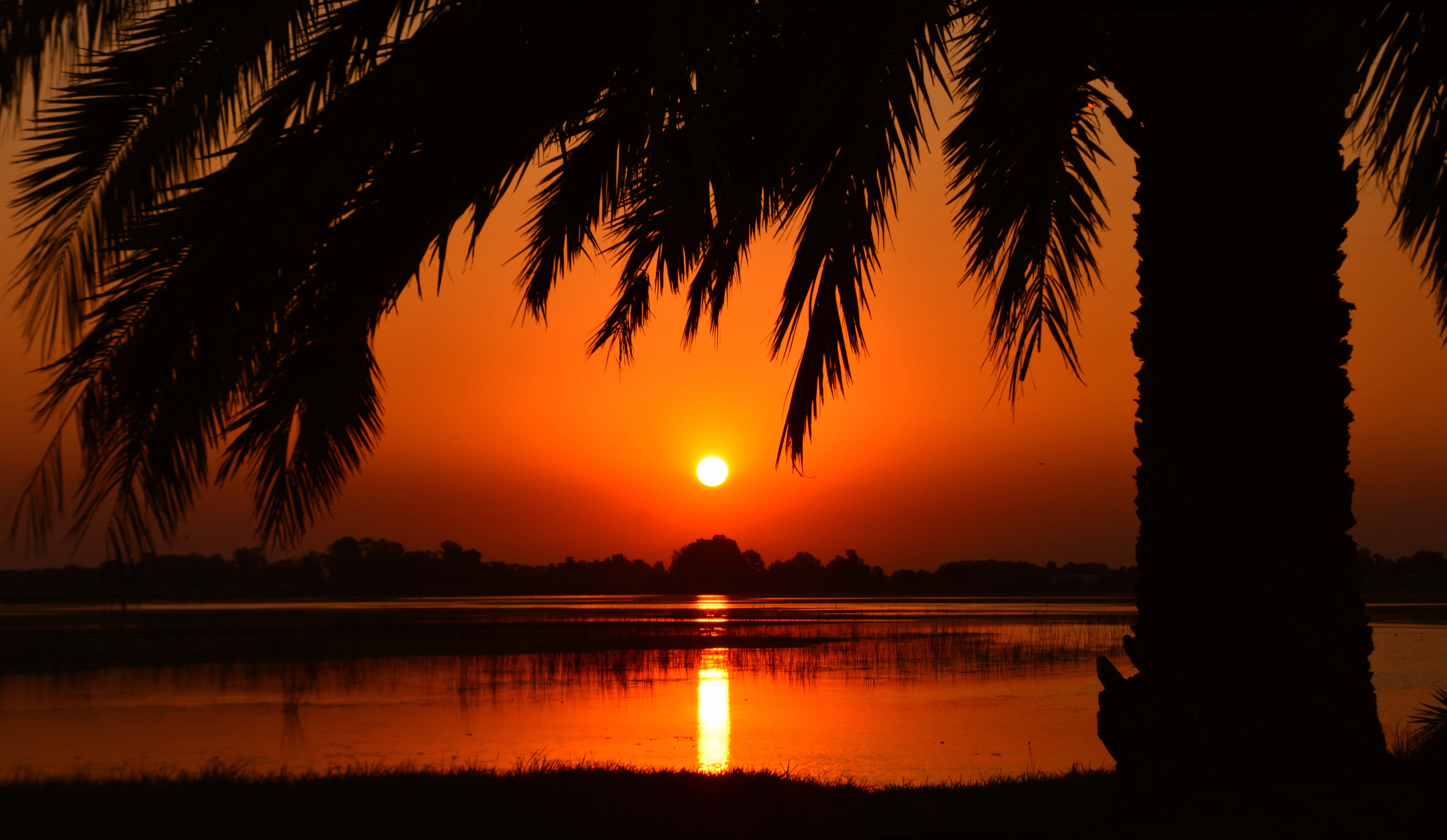 একটি সুন্দর সূর্যাস্ত উপভোগ করছি ওয়ালপেপার