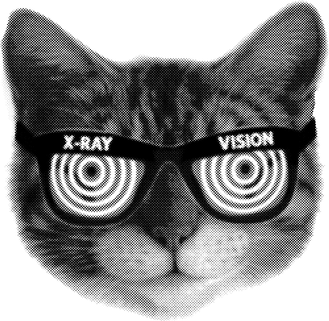এক্স-রে ভিশন বিড়ালের চিত্র ওয়ালপেপার