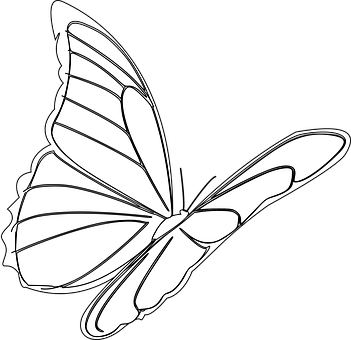 কালো-সাদা প্রজাপতি চিত্রণ ওয়ালপেপার