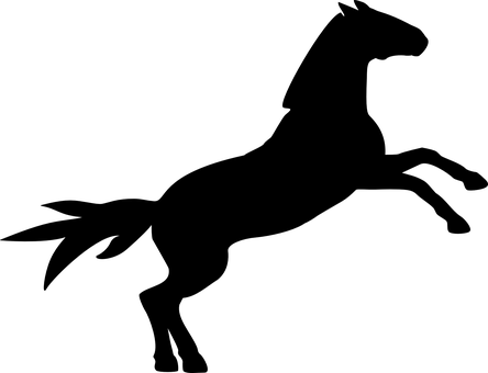 কালো সিলুয়েট ঘোড়া ওয়ালপেপার