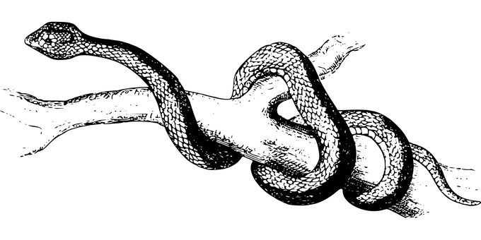কালো স্ক্রিন প্লেসহোল্ডার ওয়ালপেপার