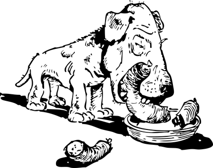 কালো স্ক্রিন প্লেসহোল্ডার ওয়ালপেপার