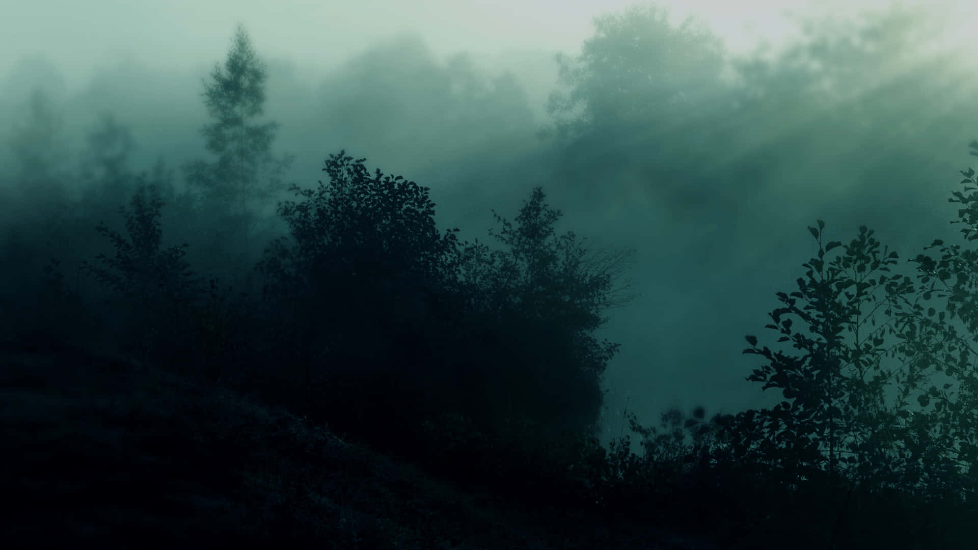 কুয়াশার ওয়ালপেপার এইচডি ওয়ালপেপার