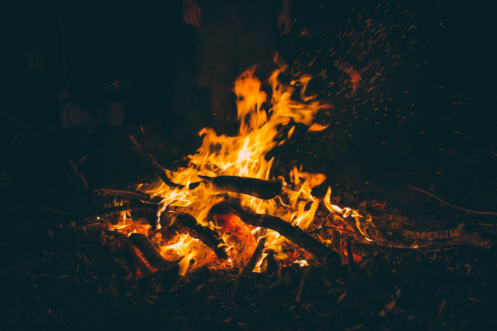 ক্যাম্পফায়ার জ্বলন্ত কমলা শিখা সহ কাঠ পোড়াচ্ছে যা বনের অন্ধকার রাতকে আলোকিত করছে।