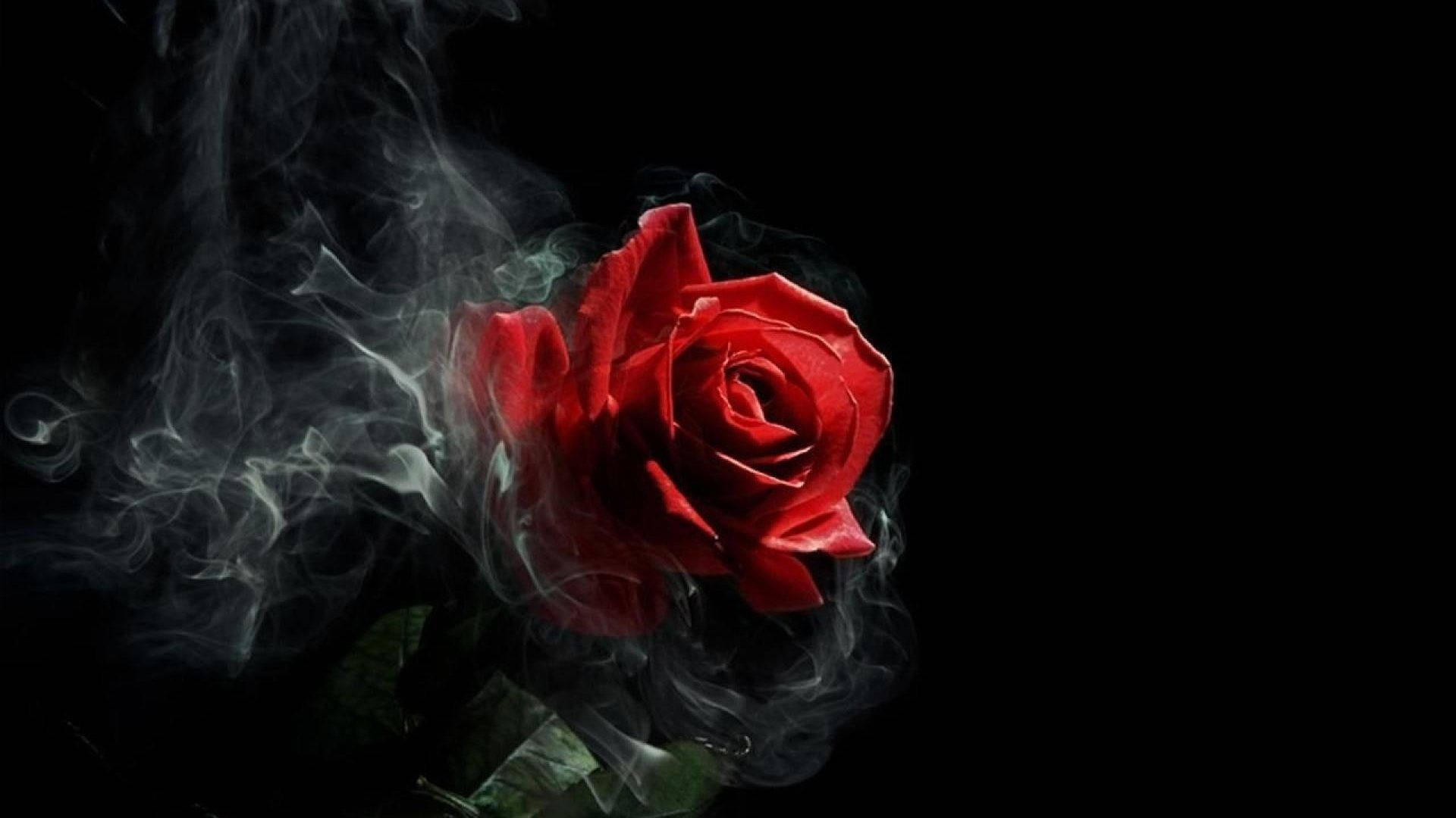 গথিক স্মোক রোজ অ্যাস্থেটিক ওয়ালপেপার