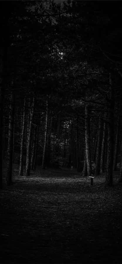 গা dark ওয়ালপেপার