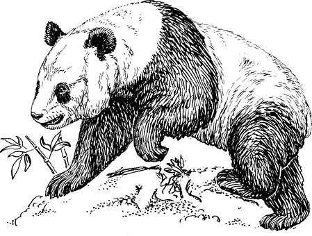 গাঢ় খালি ক্যানভাস ওয়ালপেপার