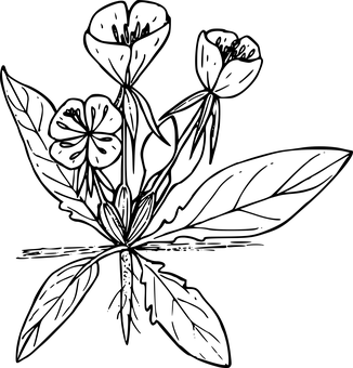গাঢ় ফাঁকা ক্যানভাস ওয়ালপেপার
