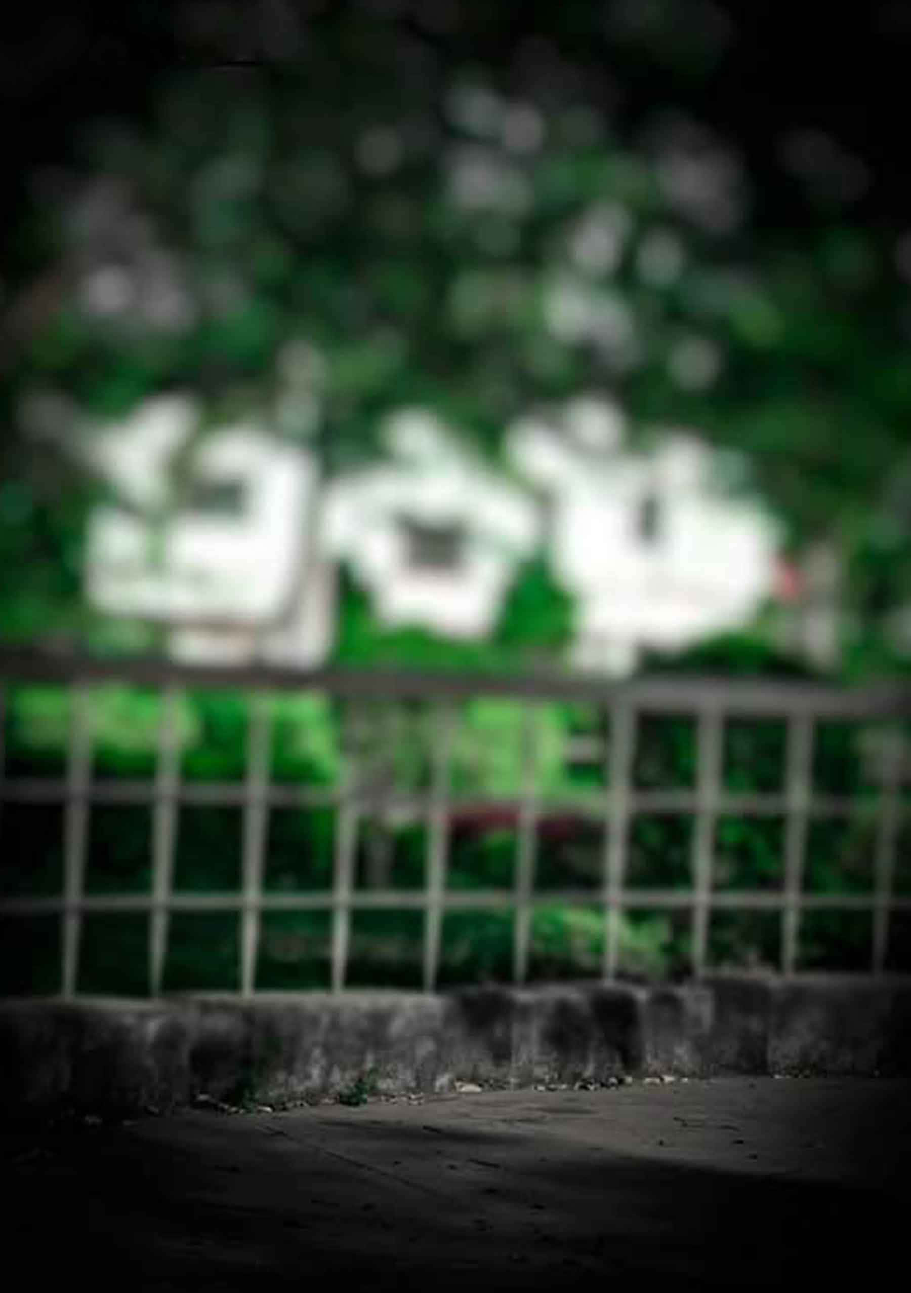 গাঢ় সবুজের রহস্যময় গভীরতা ওয়ালপেপার
