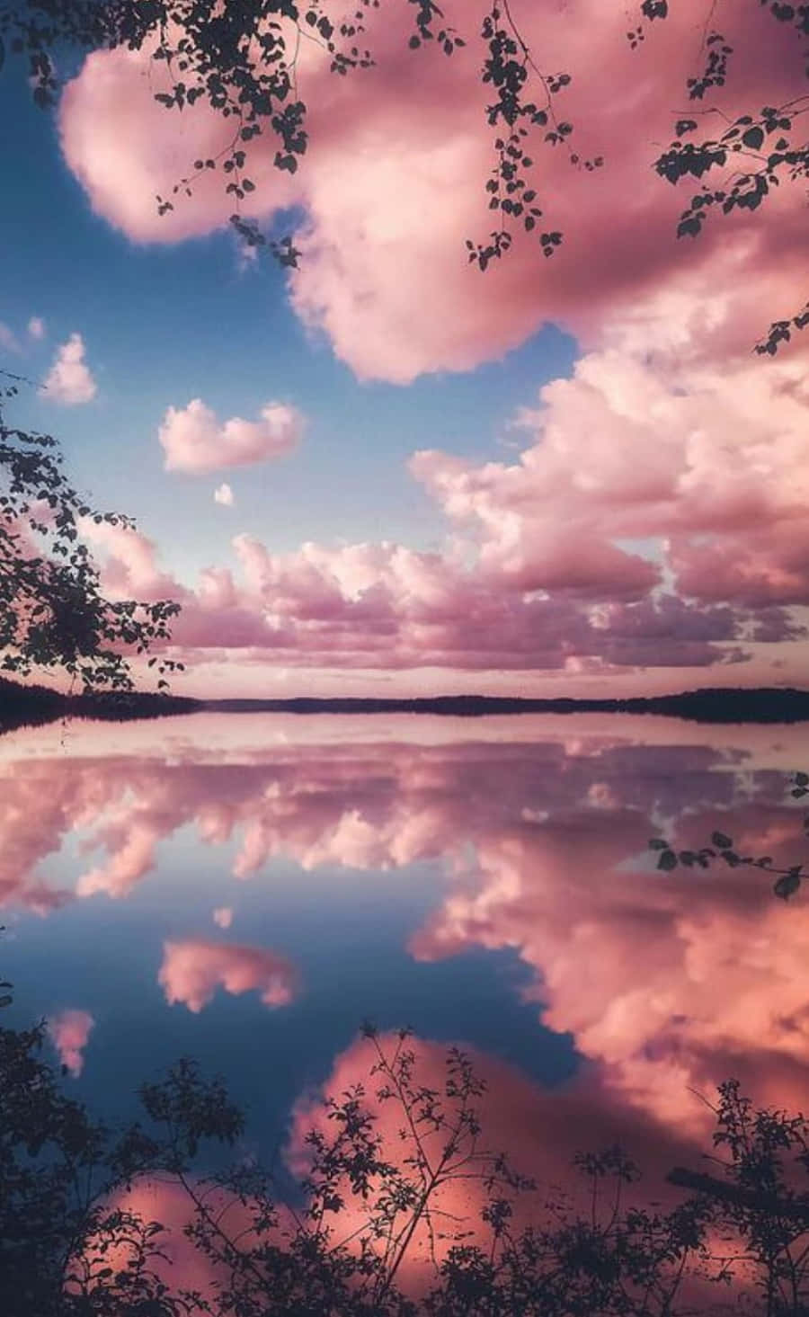 গোলাপী মেঘ আকাশের ছবি ওয়ালপেপার