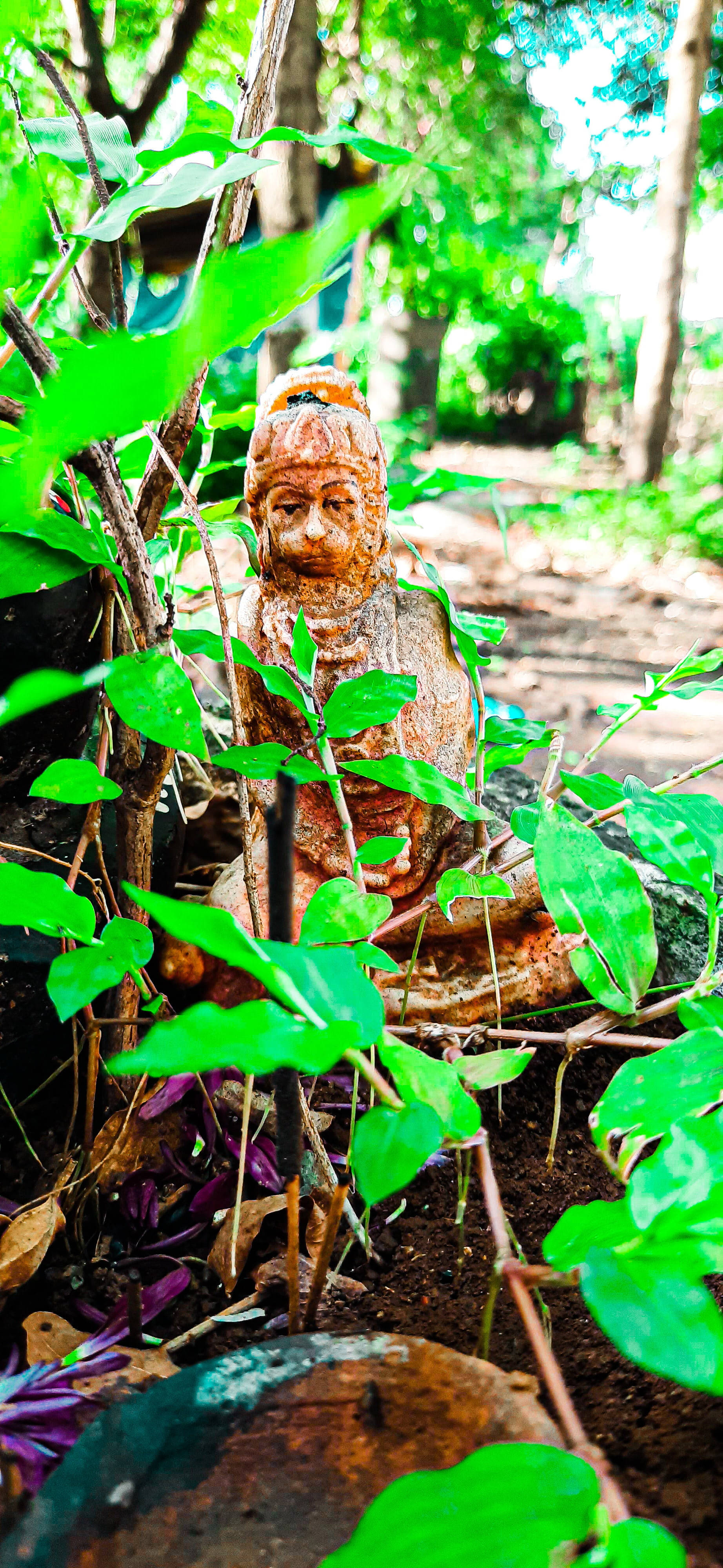 জয় শ্রী রাম এইচডি ফরেস্ট স্ট্যাচু ওয়ালপেপার