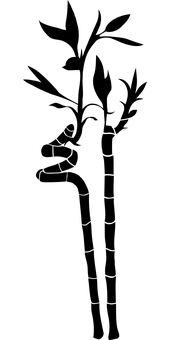 জলের ফোঁটা কালো ব্যাকগ্রাউন্ড ওয়ালপেপার