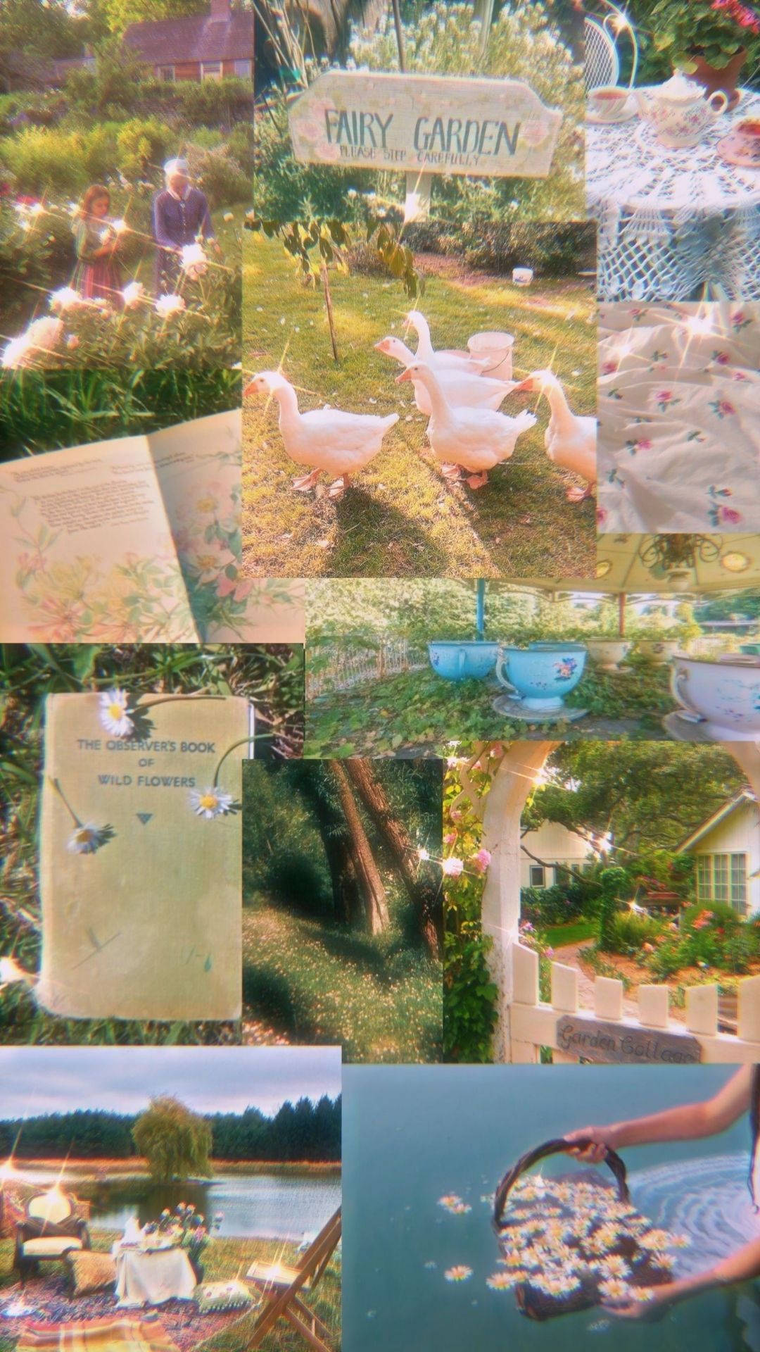 জ্বলজ্বলে পরী সৌন্দর্য ওয়ালপেপার