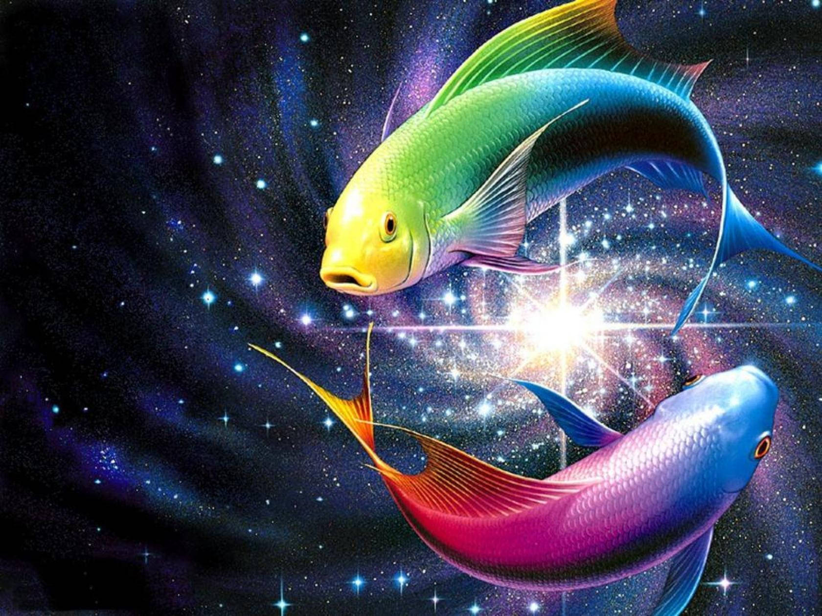 নিয়ন চকচকে কুল ফিশ ওয়ালপেপার