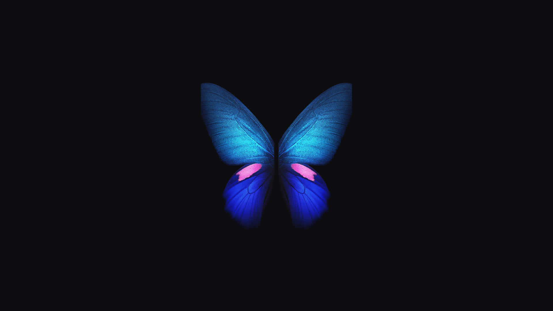 4k Oled ব্যাকগ্রাউন্ড