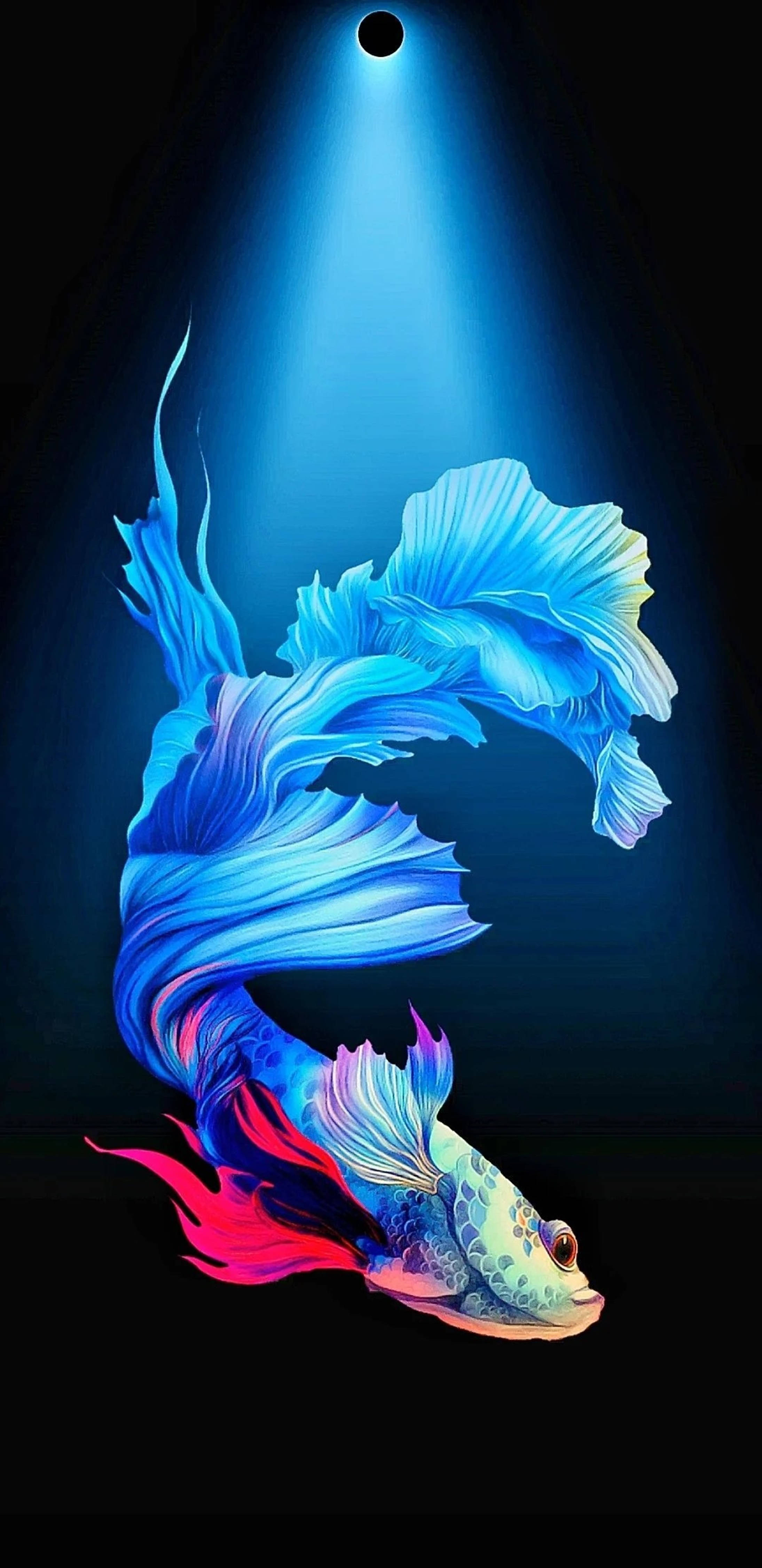 নীল বেটা ফিশ পাঞ্চ হোল ৪কে ওয়ালপেপার