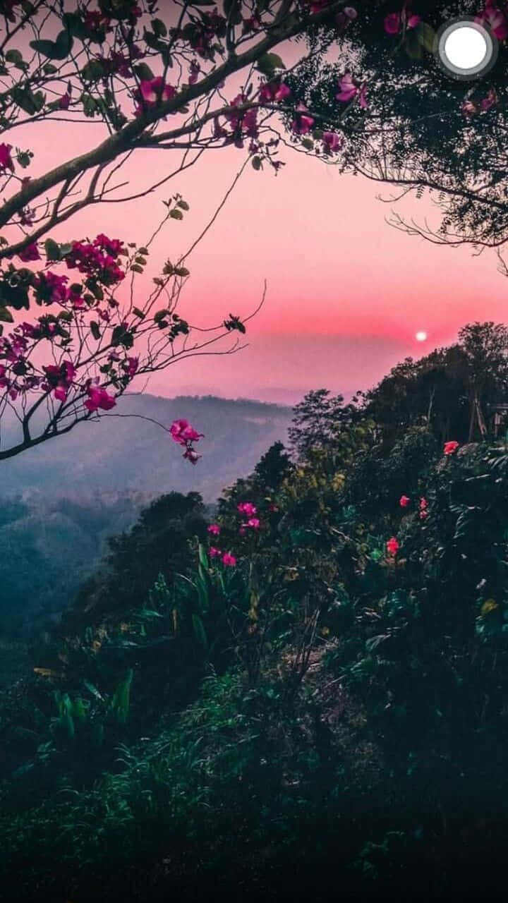 প্রকৃতি নান্দনিক ফোন