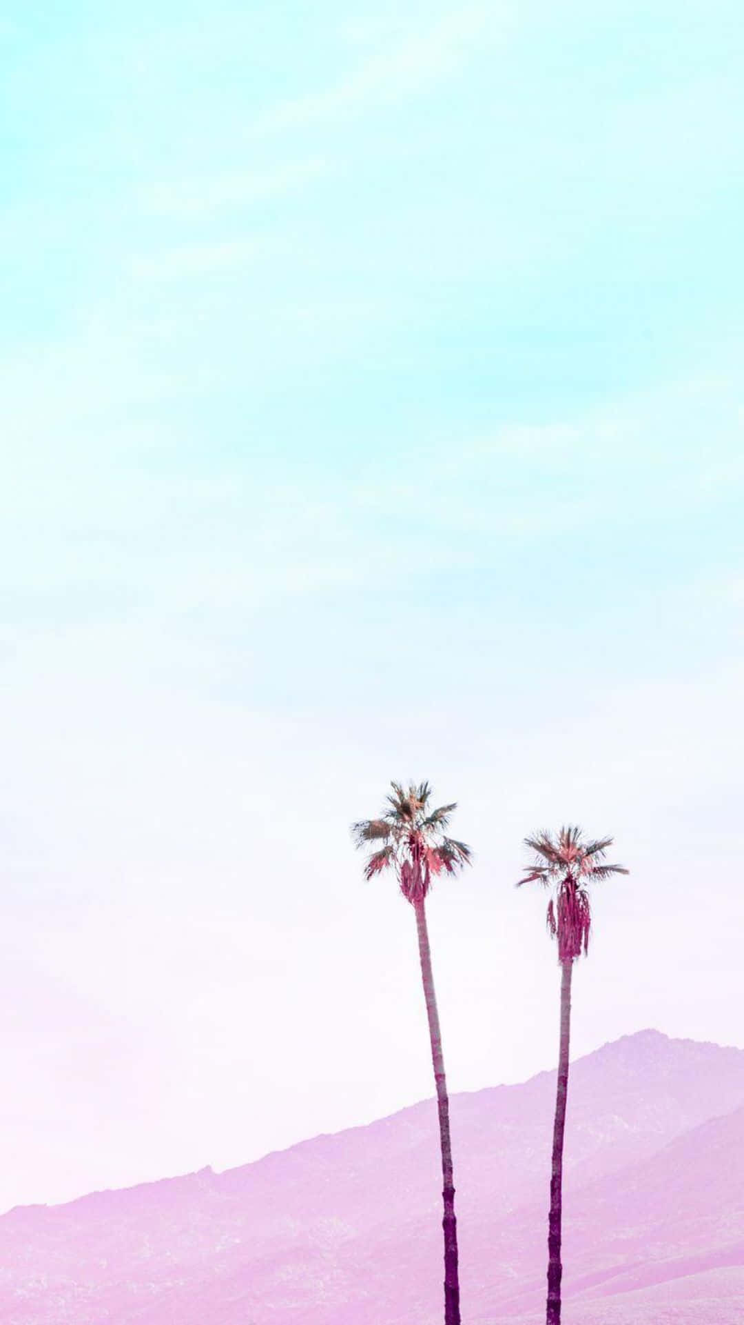 পাহাড়ের সামনে দুটি খেজুর গাছ ওয়ালপেপার