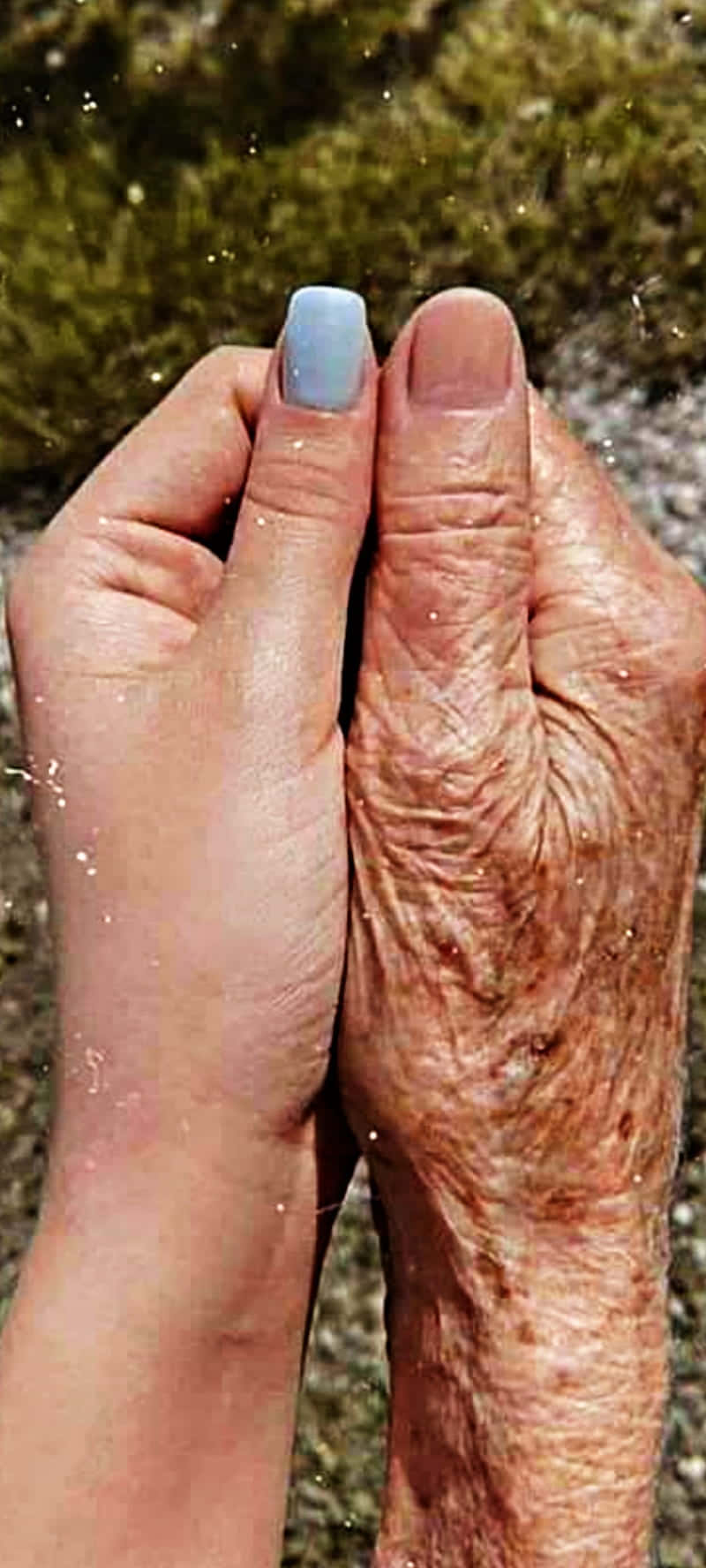 পুরানো তরুণ নখের রঙ ওয়ালপেপার