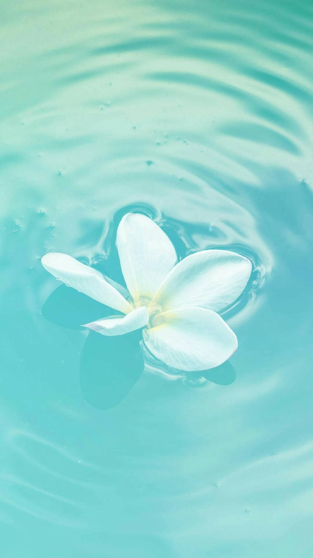 প্যাস্টেল টিল ভাসমান ফুল ওয়ালপেপার